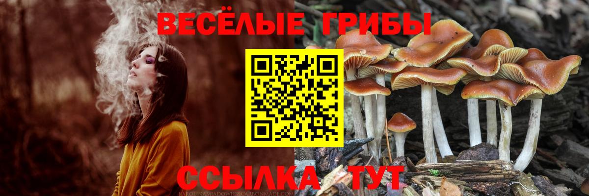 Южно-Сахалинск  Галлюциногенные грибы Magic Shrooms  Вход с VPN 
